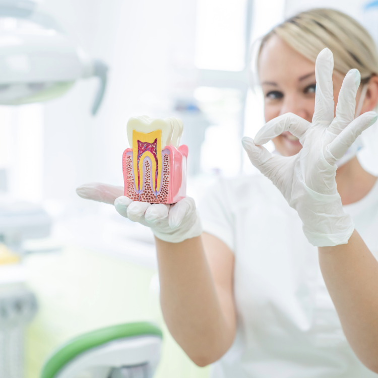 Root Canal Treatment